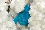 Vibrant Blue Cavansite Crystals on Sparkling Stilbite - India #340993-1